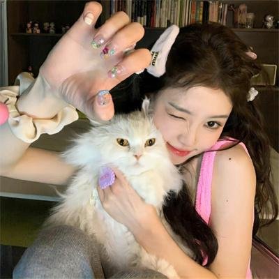 虹猫蓝兔勇者归来